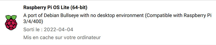 Raspberry Pi OS Lite (64-bit)