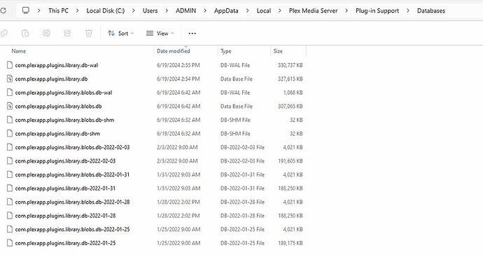 Screenshot 2024-06-19 151659a