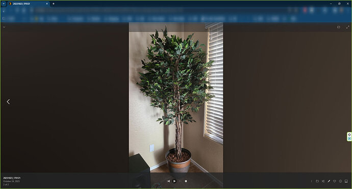 plex issue 2 tree