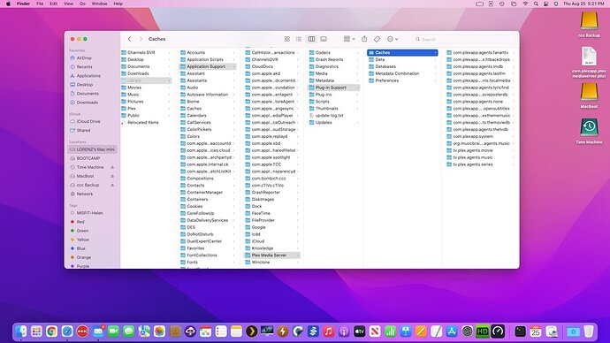 Screen Shot 2022-08-25 at 5.21.41 PM