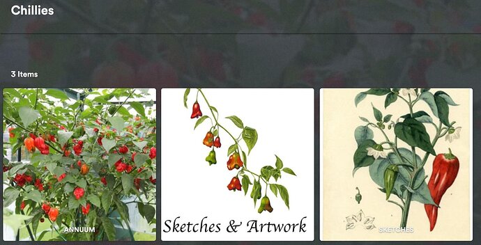 Screenshot 2025-05-30 at 08.38.28