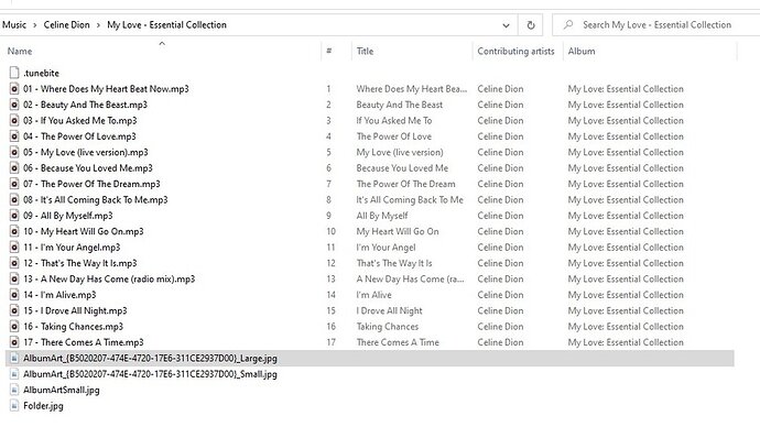 Celine dion tracks in file explorer