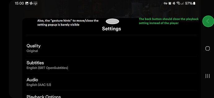New app playback setting popup