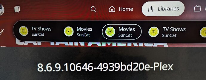 ROKU Plex Library Server Issue