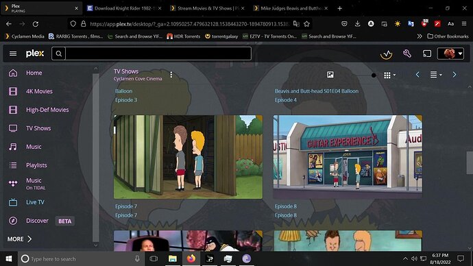 Episode 7&8 in plex browser