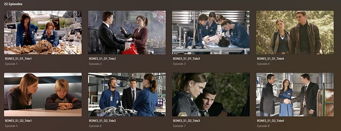 BonesEpisodes