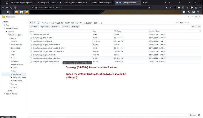 Plex - Backup Location (Synology Folders)