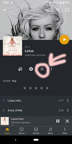 shuffle_album_250x500