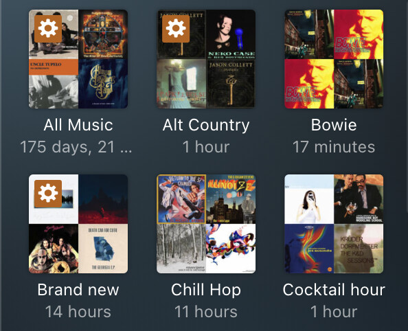 Screen Shot 2021-01-24 at 9.49.02 AM