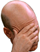 facepalm_Picard