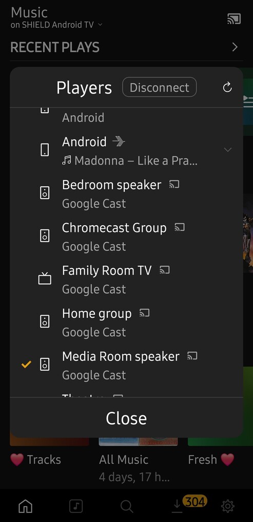 Screenshot_20250206_084950_Plexamp