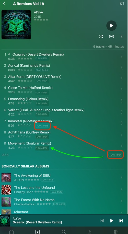 Feature request In Plexamp, add details for format, bit depth, and sample rate per track