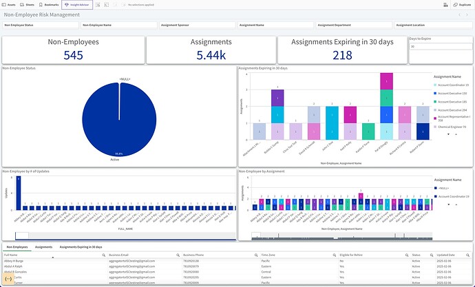 Insight Advisor - NERM