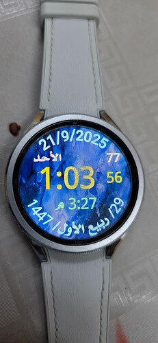 ٢٠٢٥٠٩٢١_١٣٠٣٥٧