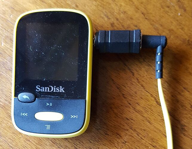 Sandisk Clip Sport Adapter.jpg