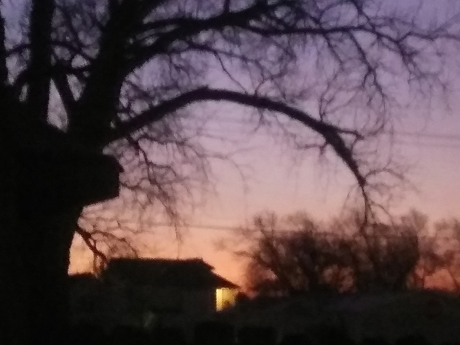 20200121_070751