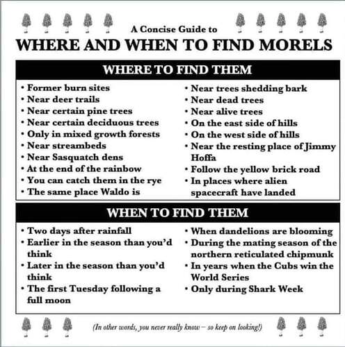 FB_IMG_1648898630295