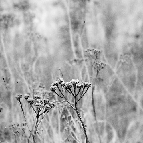 20210512_192757-01