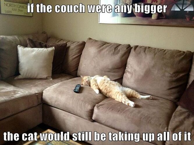 93fda7ce171d6a4e0e881380075a884f--creature-feature-couch