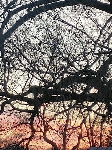 20221206_172044_HDR