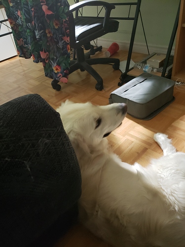 20190627_002131