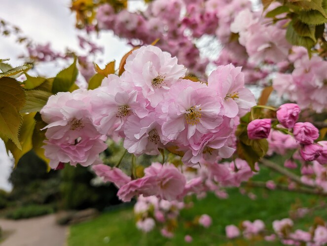 PXL_20240325_102709325.RAW-01.COVER