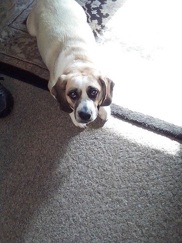 maggie6