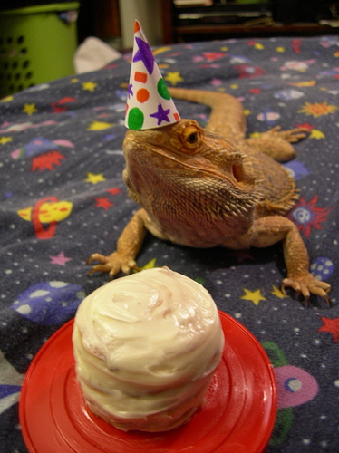 tumblr_lz7zi08sbz1qbzj2ao1_1280