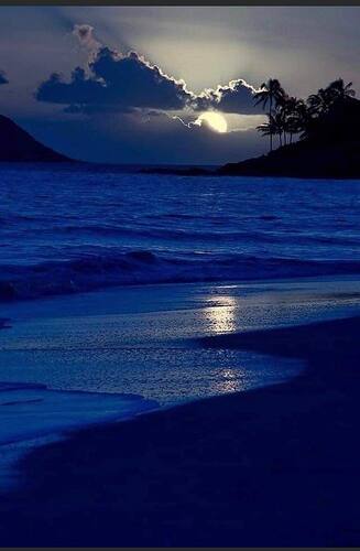 May be an image of nature and sky