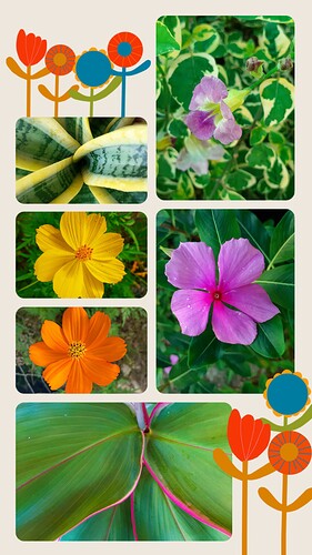 20221224_074333-COLLAGE