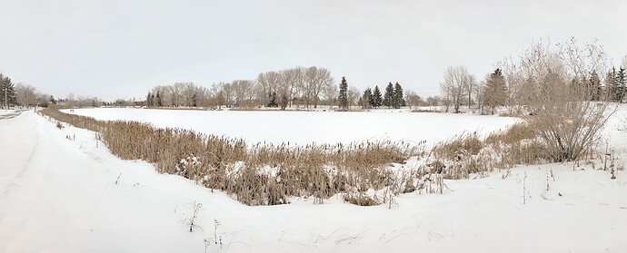 It's going to be a white Christmas at Kinsmen Lake, Strathmore, AB, 2022-12-16