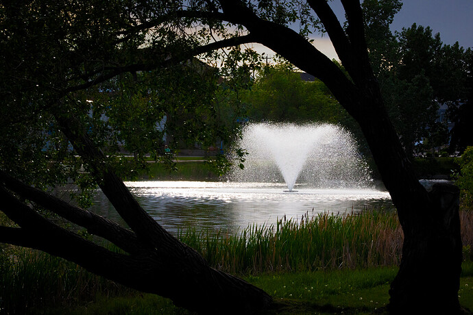 Fountain Framed in Trees, Kinsmen Lake, Strathmore, Alberta, June 11, 2021