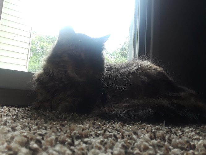 IMG_20190908_123953_306