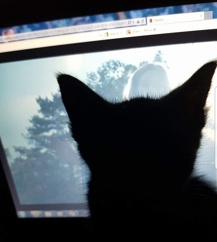 Screenshot_20200814-102751_Facebook