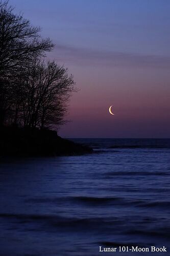 May be an image of twilight, body of water, tree, sky, nature and text that says "Lunar 101-Moon Book"