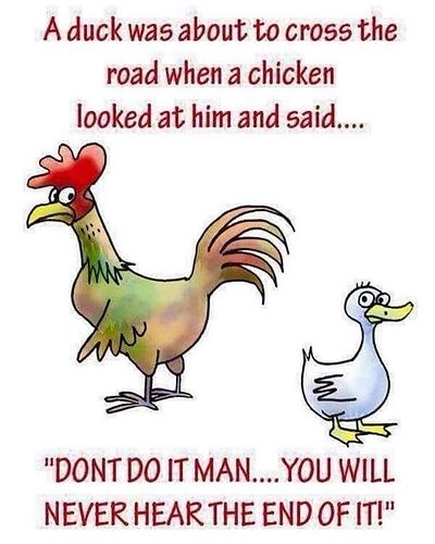 240978215_4395935417167498_860353199492312186_n