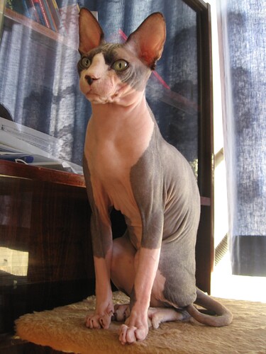 Sphinx2_July_2006