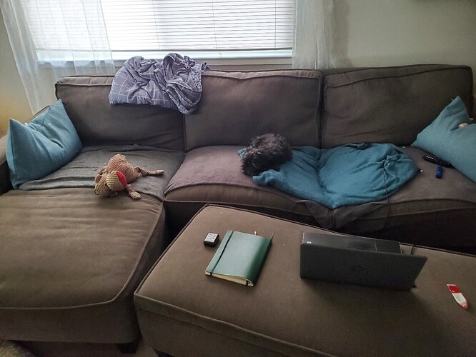 couchdent