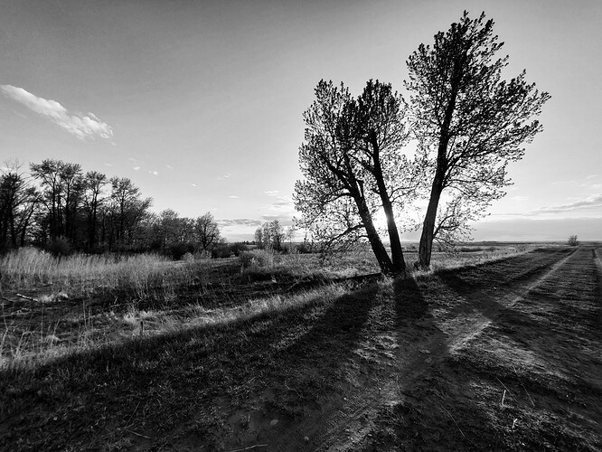20210514_203420-01
