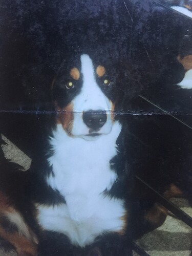 1AD9A771-3971-4B49-AB18-AE5F76FCBC7F