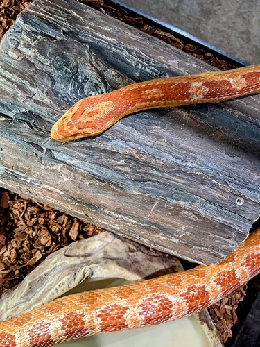 PXL_20211018_230538782~2