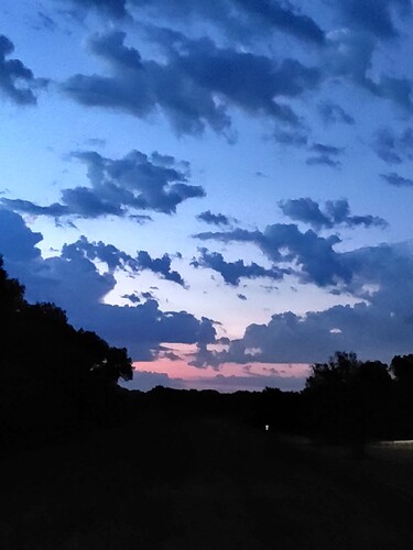 20220803_055745_HDR