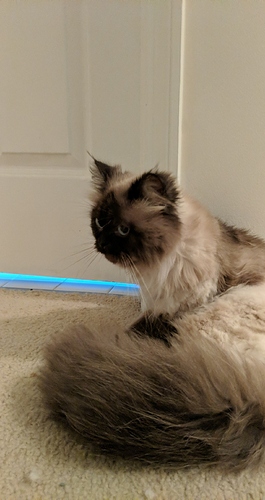 jpg_1557360255062