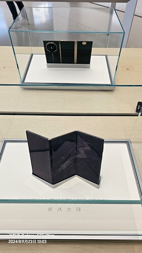 20240923_1003471