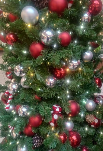 IMG_20251221_121320955_HDR