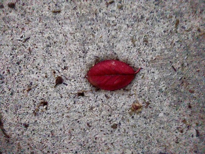 leaf lips