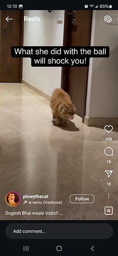 Screenshot_20250317_121002_Instagram