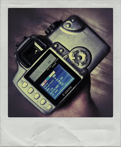 Canon EOS 350D Back
