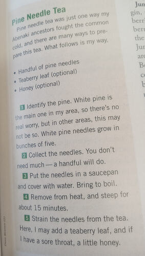 IMG_20251120_134010367