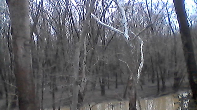WIN_20200319_12_02_21_Pro